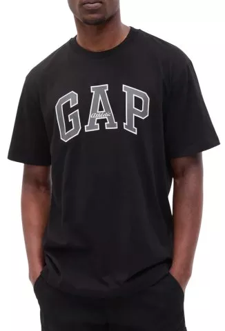 GAP Archive Logo