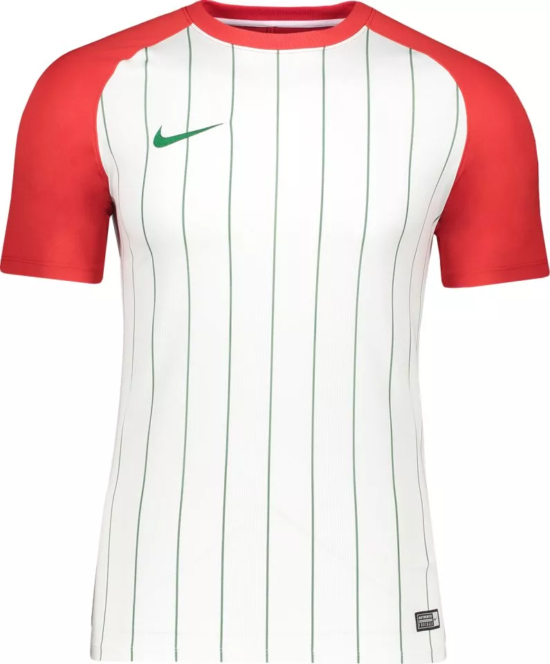 Pánský dres s krátkým rukávem Nike Striped Segment III