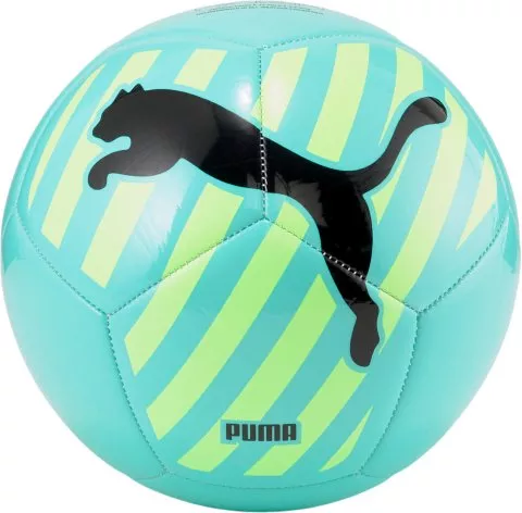 Big Cat Trainingsball