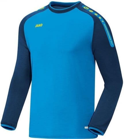 Champ Sweatshirt