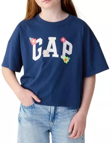 GAP Graphic Logo