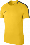 M NK DRY ACDMY18 TOP SS