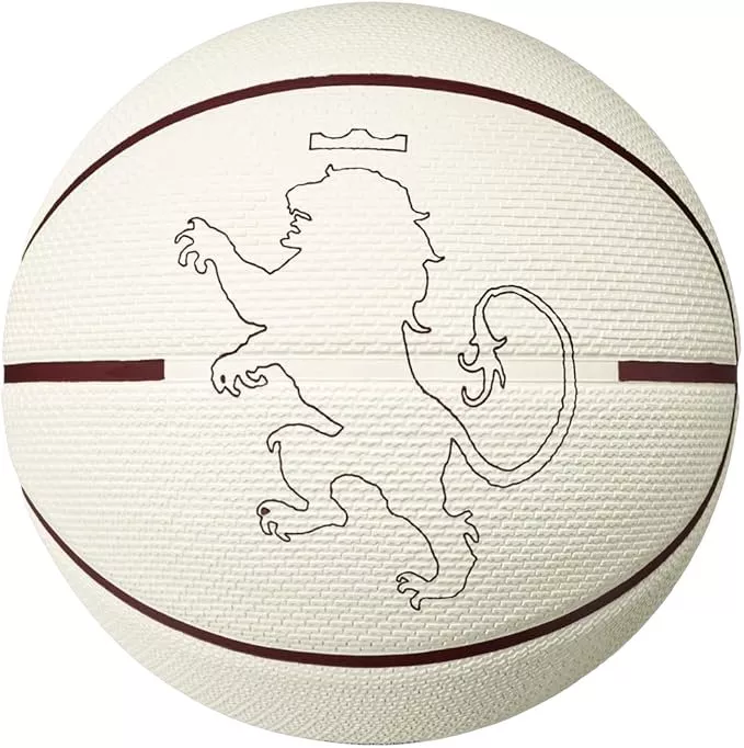 Minge Nike Playground 8P L James Deflated Training