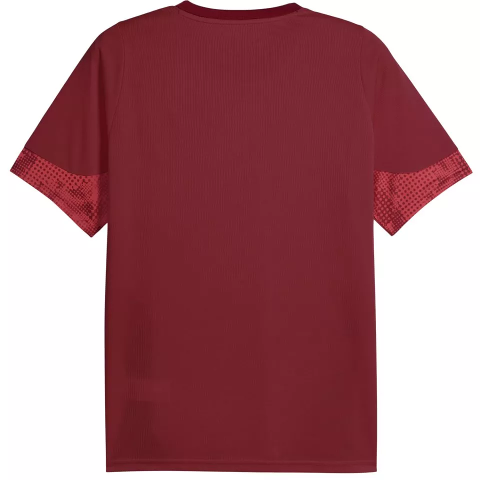 Риза Puma Galatasaray Istanbul Training Jersey