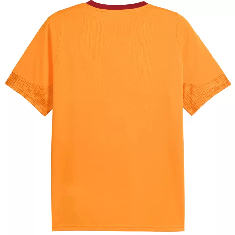 Bluza Puma Galatasaray Istanbul Training Jersey