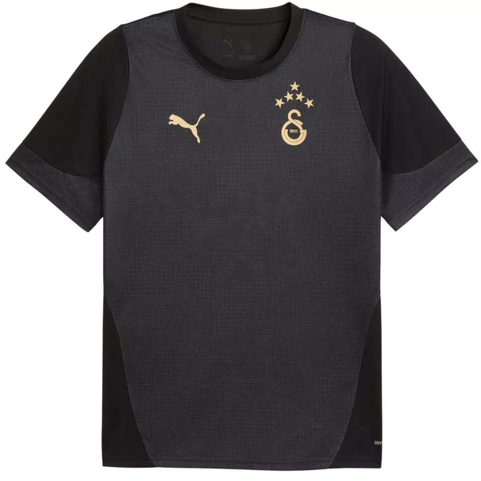 Dres Puma Galatasaray Istanbul Training Jersey