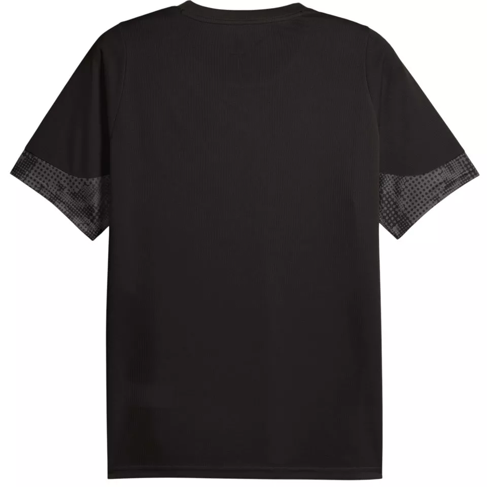 Dres Puma Galatasaray Istanbul Training Jersey