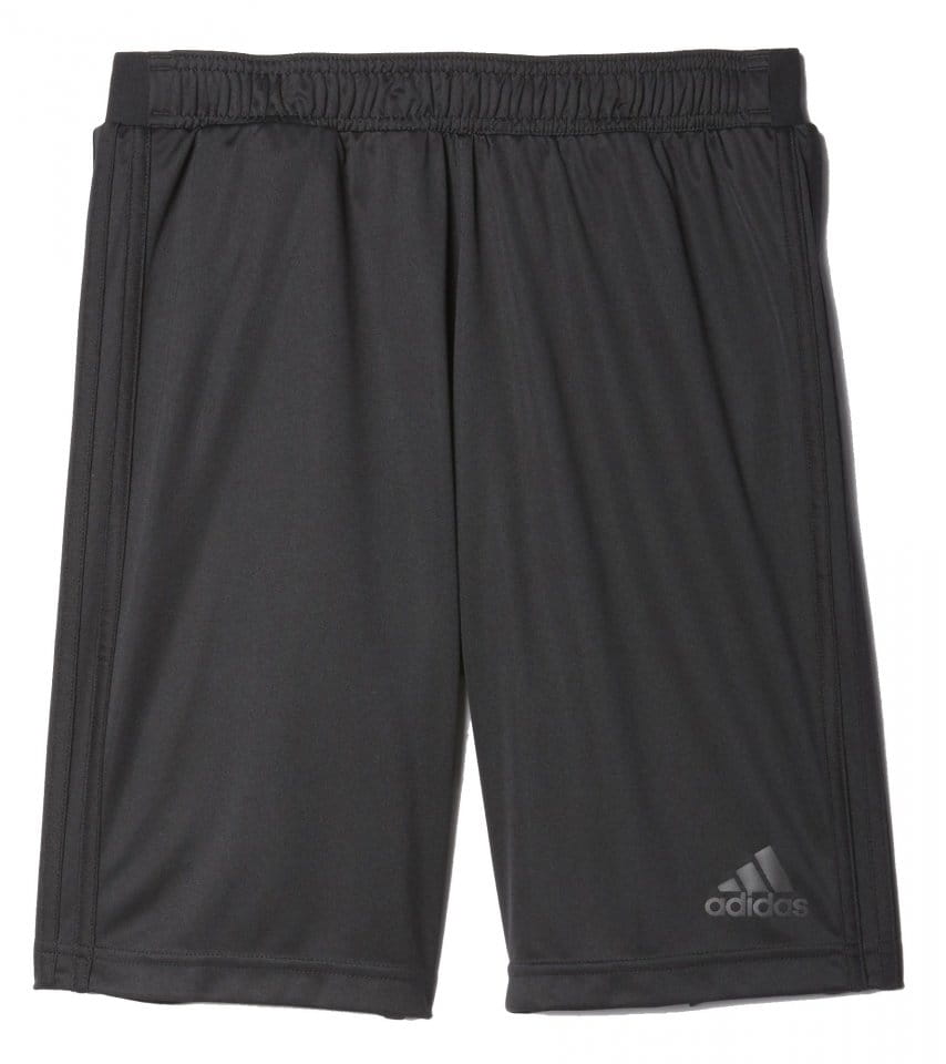 Pánské tréninkové trenýrky adidas UFB