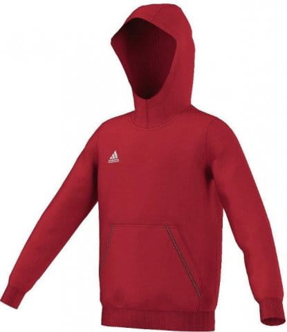 core 15 hoody kids