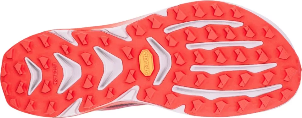 Trail-Schuhe Altra Mont Blanc Speed