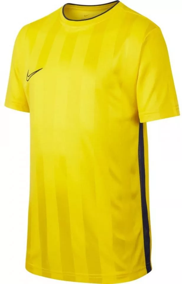 T-paita Nike B NK BRT ACDMY TOP SS GX2