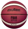 B6G4550 BASKETBALL