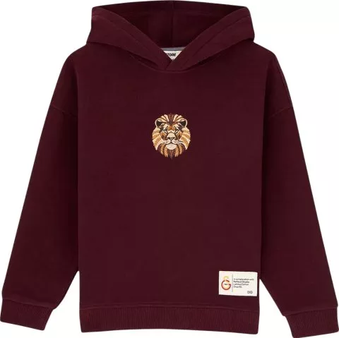 GSSTORE X Reflect Studio Lion Hoody Kids