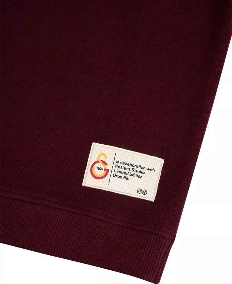 Sweatshirt med huva Puma GSSTORE X Reflect Studio Lion Hoody Kids