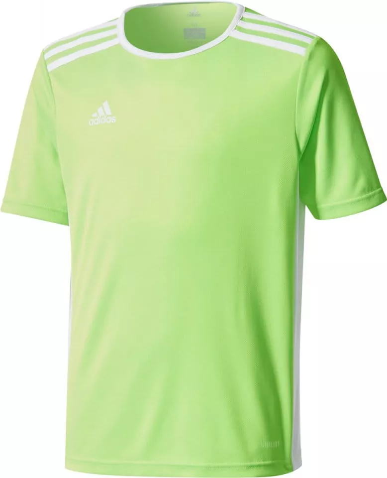 Koszulka adidas ENTRADA 18 JSY Y