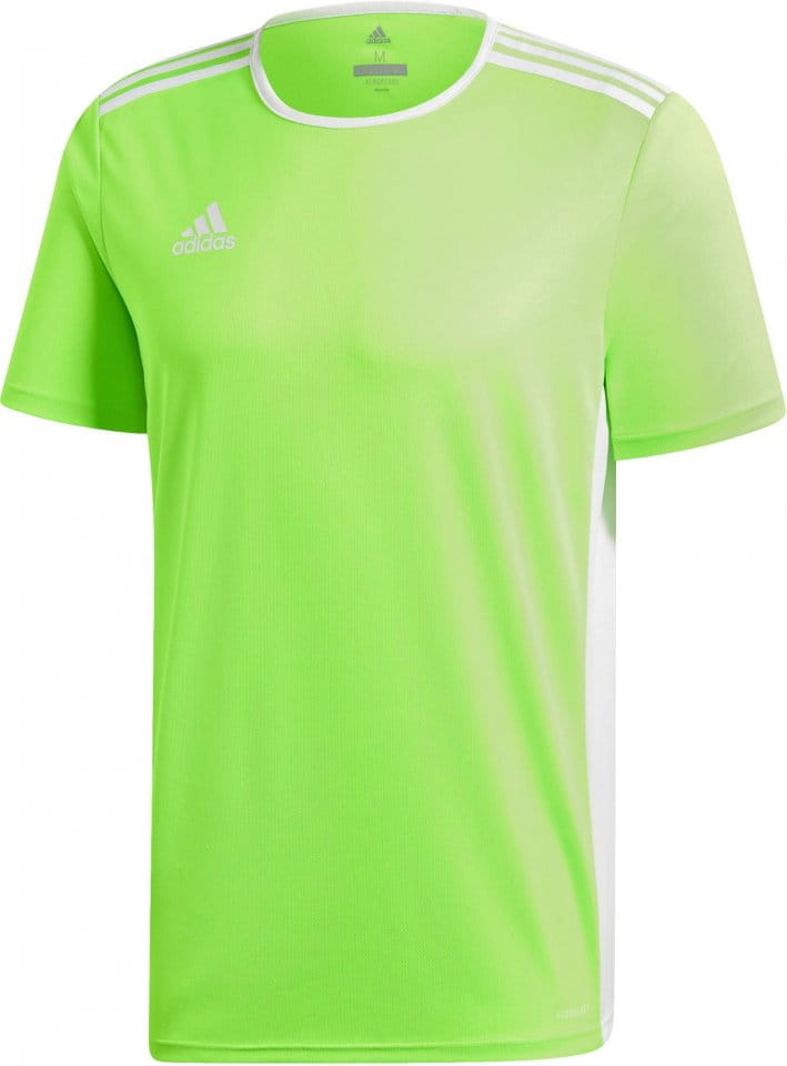 Dres adidas ENTRADA 18 JSY Y