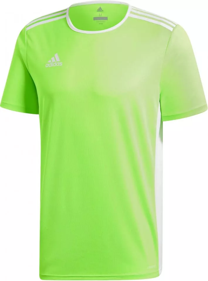 Dres adidas ENTRADA 18 JSY Y