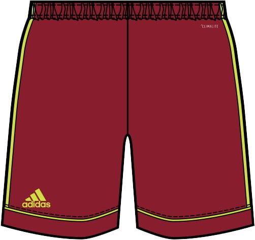 Pánské šortky adidas team 23