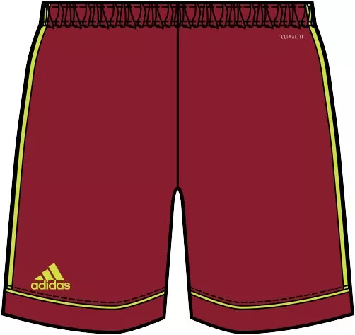 Pánské šortky adidas team 23