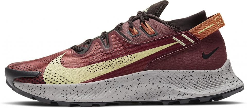 Trailsko Nike PEGASUS TRAIL 2