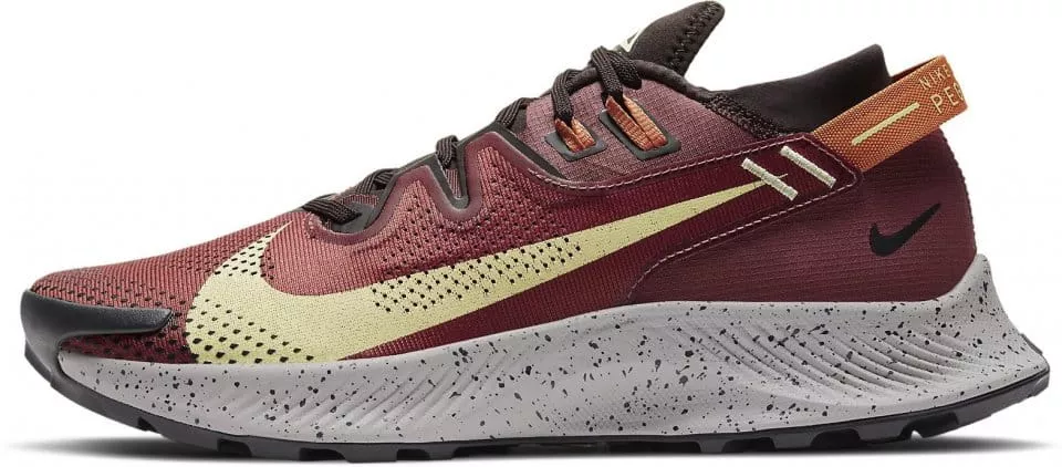 Trailsko Nike PEGASUS TRAIL 2