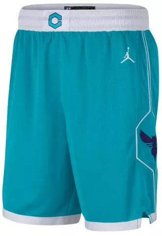 Hornets Icon Edition 2020 Men's Jordan NBA Swingman Shorts