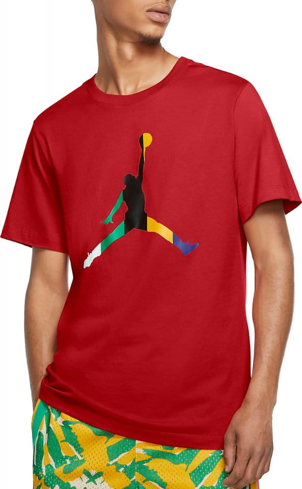 Camiseta Jordan M J DNA JUMPMAN SS TEE