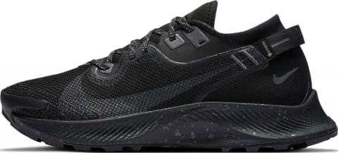 WMNS PEGASUS TRAIL 2 GTX