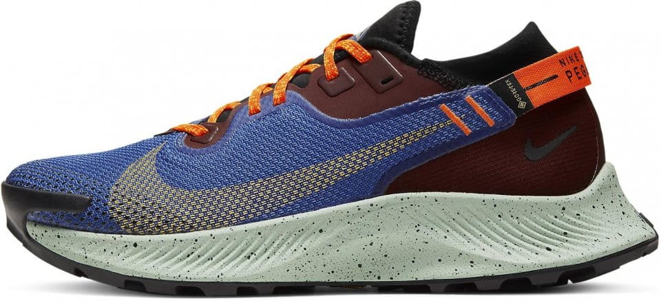 Trailskor Nike WMNS PEGASUS TRAIL 2 GTX