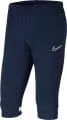 M NK Academy 21 DRY 3/4 PANTS