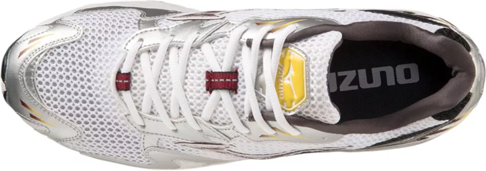Schuhe Mizuno Wave Rider 10