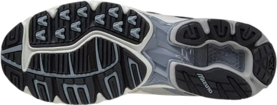 Schuhe Mizuno Wave Rider 10 Premium