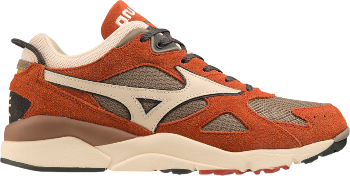 Schuhe Mizuno Sky Medal