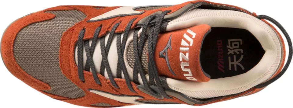 Schuhe Mizuno Sky Medal