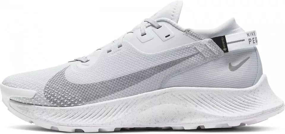 Trail-Schuhe Nike PEGASUS TRAIL 2 GTX