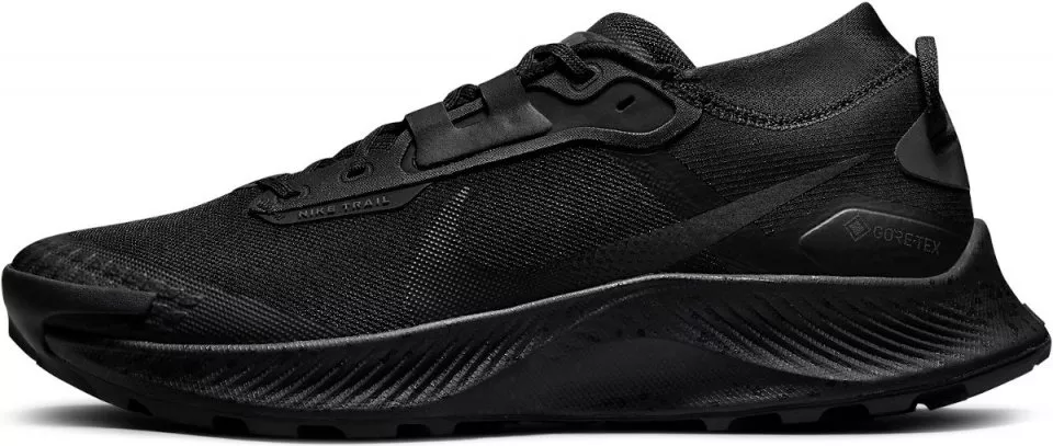 Buty trailowe Nike Pegasus Trail 3 GTX