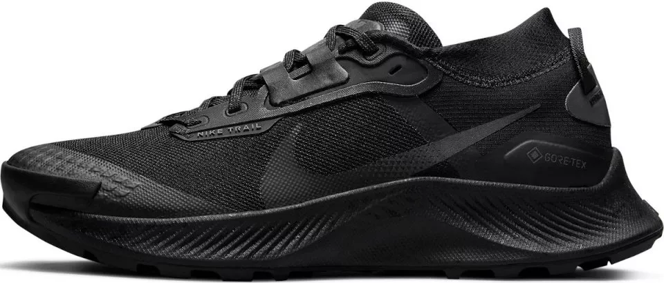 Buty trailowe Nike Pegasus Trail 3 Gore-Tex