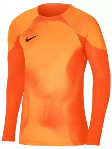 Dri-FIT ADV Gardien 4 Goalkeeper LS