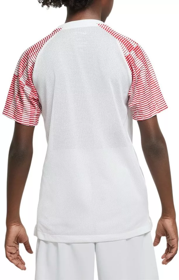 Nike Y NK DF ACADEMY JSY SS Póló