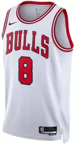 Chicago Bulls Association Edition 2022/23 Dri-FIT NBA Swingman Jersey