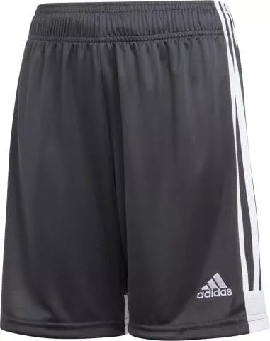 Tastigo 19 Shorts Y