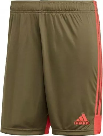 adidas Shorts tastigo19 sho 197073 dp3254 480