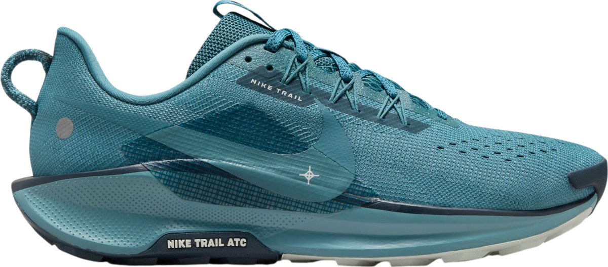 Trail-Schuhe Nike Pegasus Trail 5