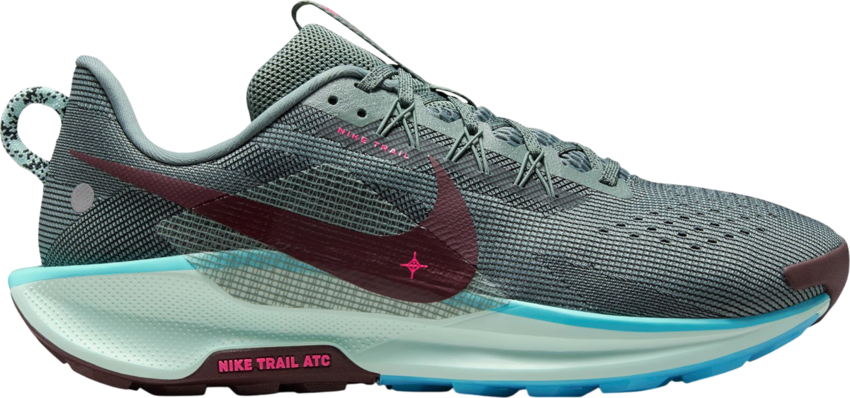 Παπούτσια Nike Pegasus Trail 5