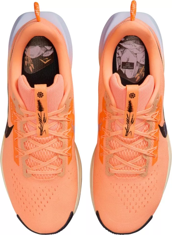 Nike Pegasus Trail 5 Terepfutó cipők
