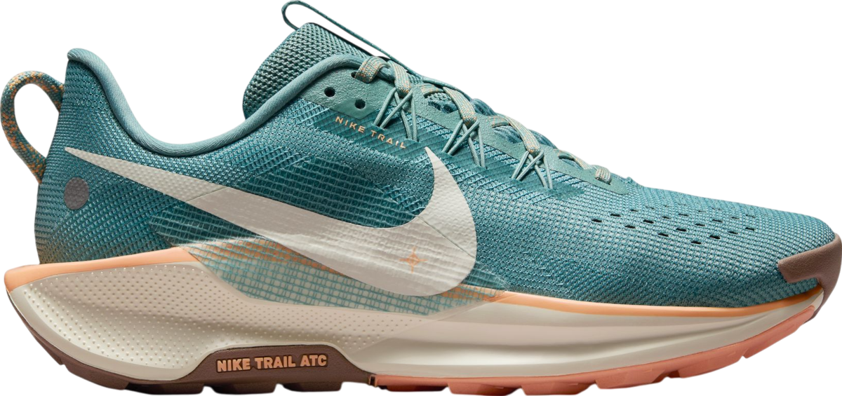 Trail-Schuhe Nike Pegasus Trail 5