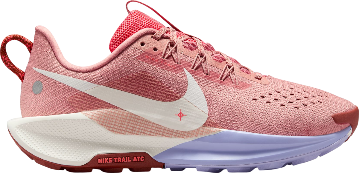 Trail-Schuhe Nike Pegasus Trail 5