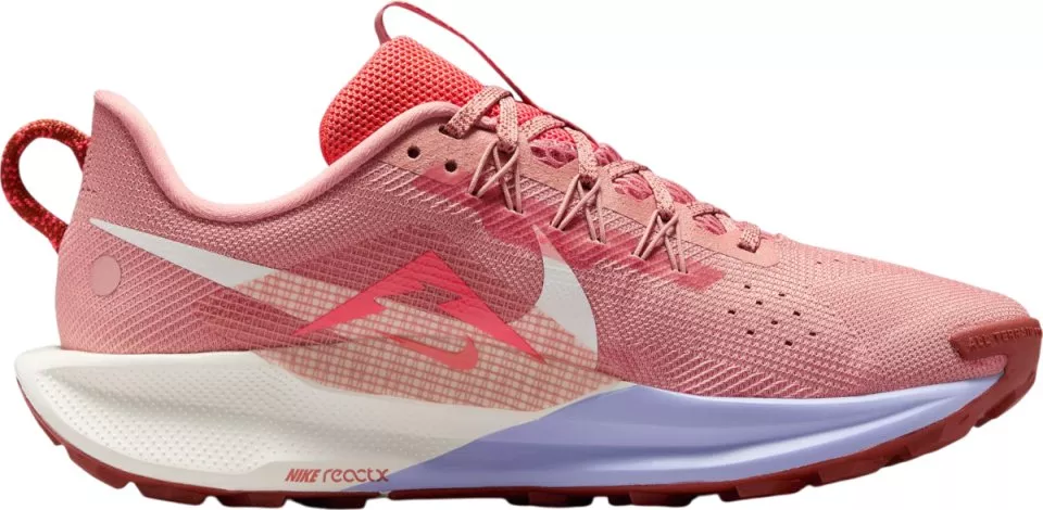 Trail-Schuhe Nike Pegasus Trail 5