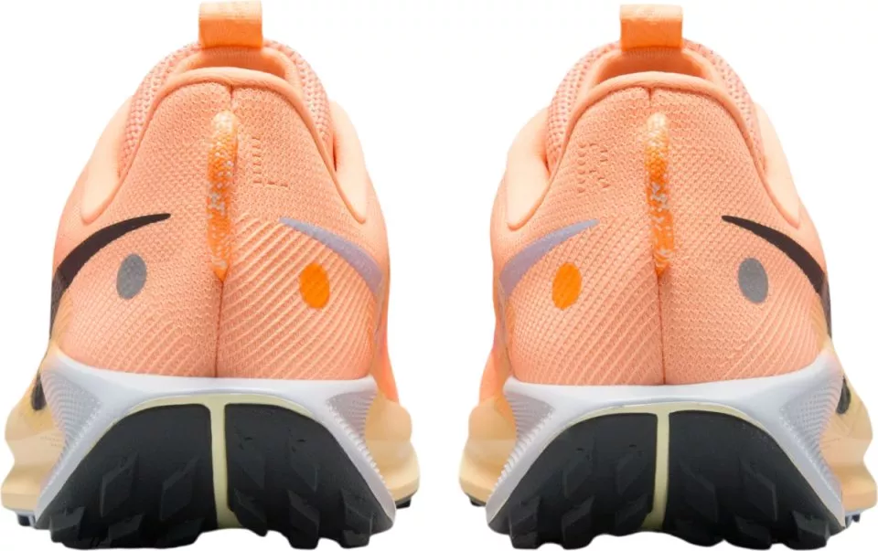 shoes Nike Pegasus Trail 5