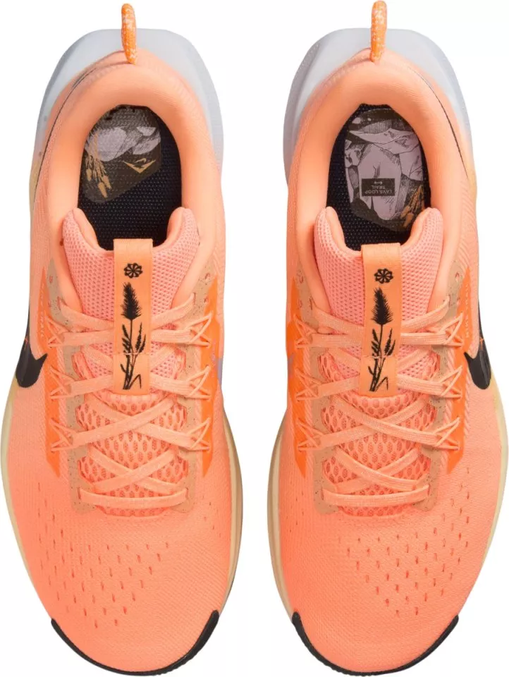 shoes Nike Pegasus Trail 5